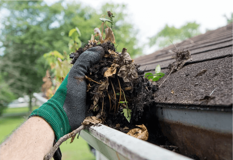 An image of a gutter being cleaned.
